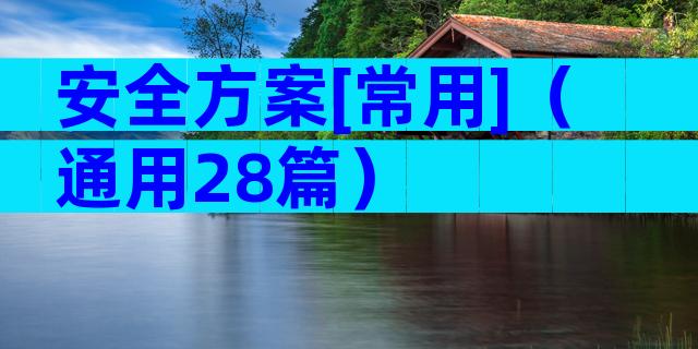 安全方案[常用]（通用28篇）